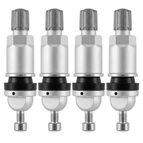 Valves pour capteurs TPMS – 4 valves TPMS-07 1