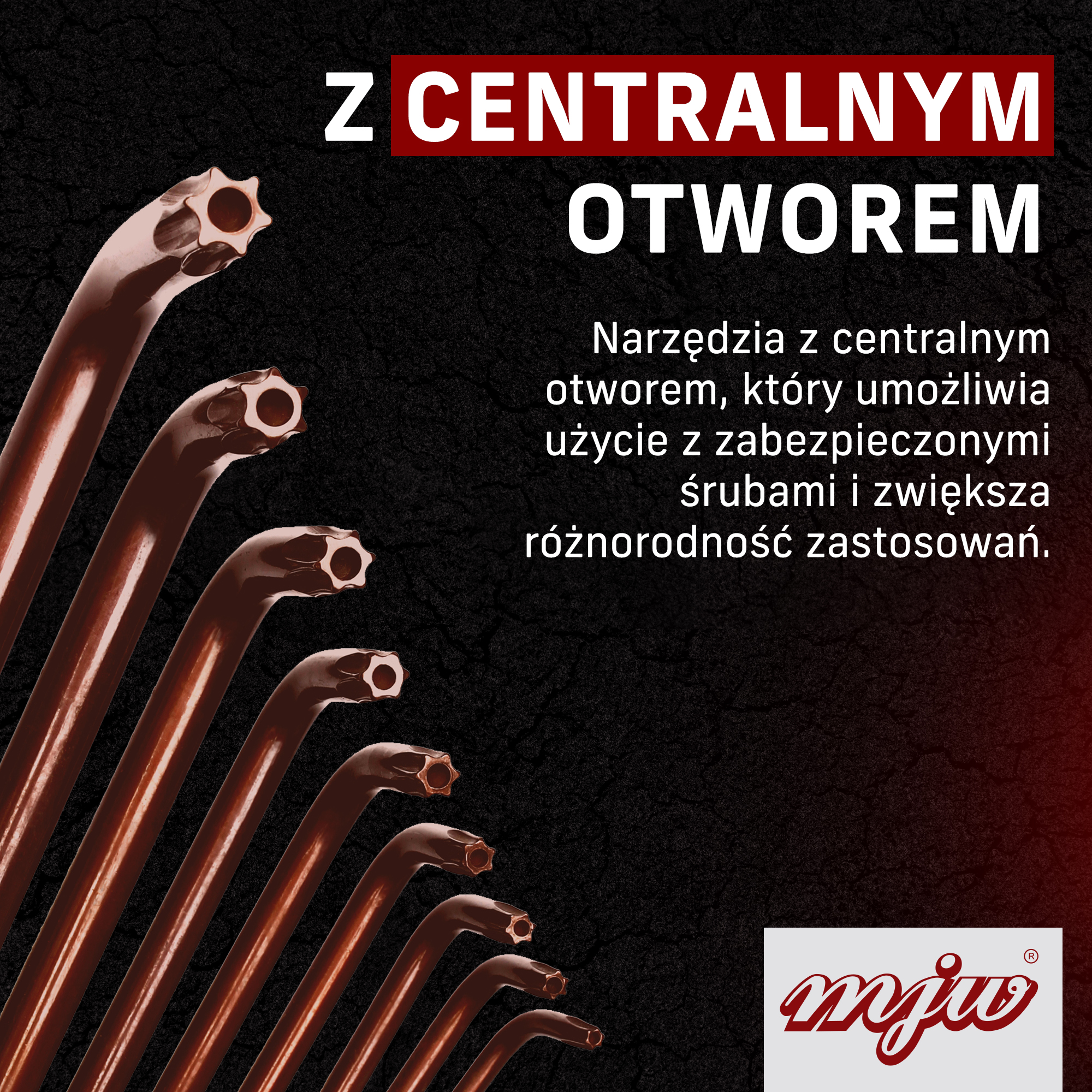 3_torx_pl